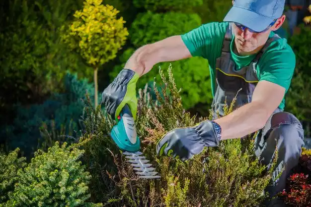 landscaping services Luna Pier
